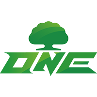 ONE Team