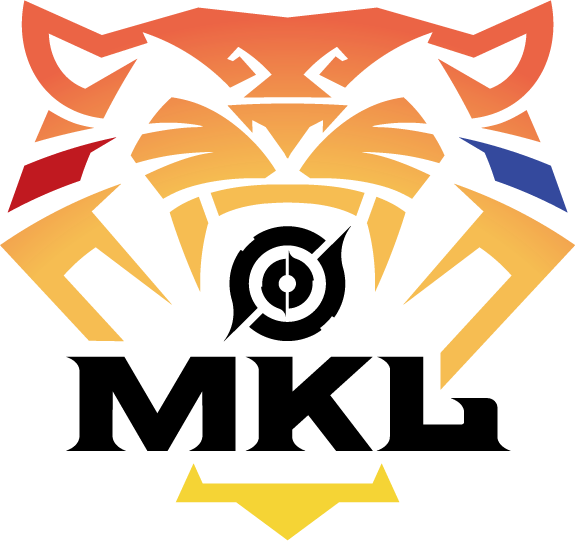 MY Honor of Kings League