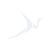 BSS