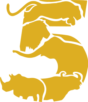 Big 5