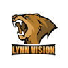 Lynn Vision