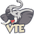 VTE