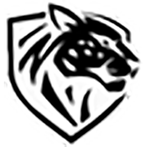 Ilbirs eSports