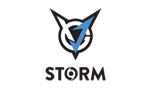 VGJ.Storm