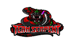 TS