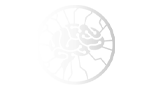 MT