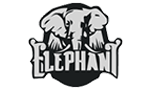 Team Elephant