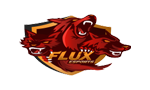 FLUX