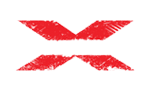 TEAM X