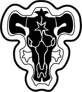 Bulls
