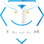 TSE