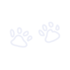 BD