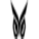 TS