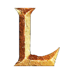 DMP