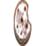 BZ